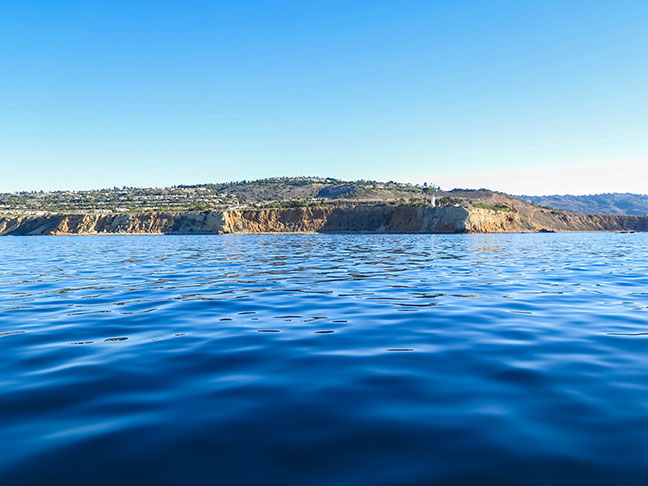 the beautiful cliffs of Palos Verde Peninsula. Photo by Al Q